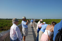 Group Walk