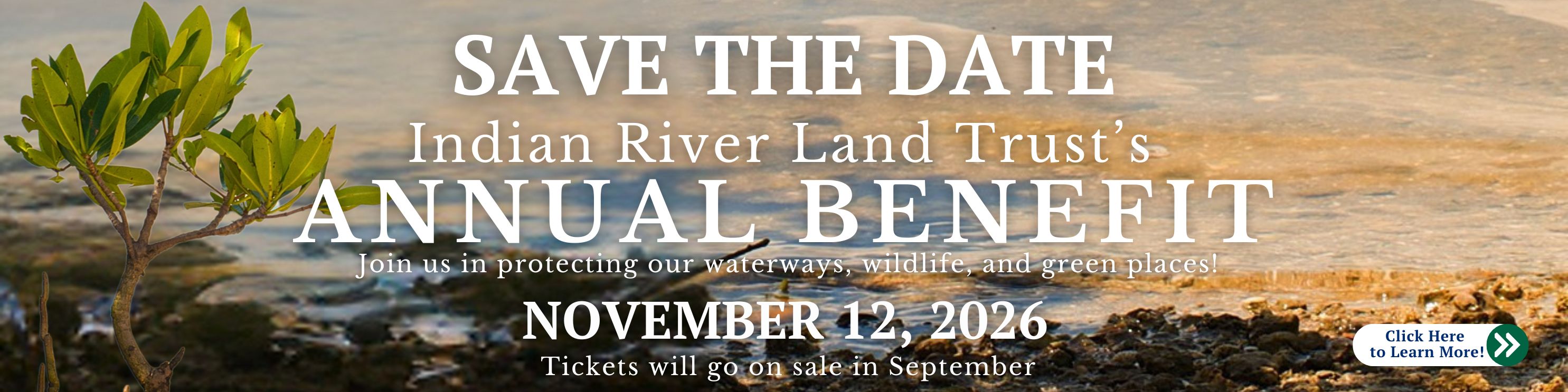 2026 Annual Benefit