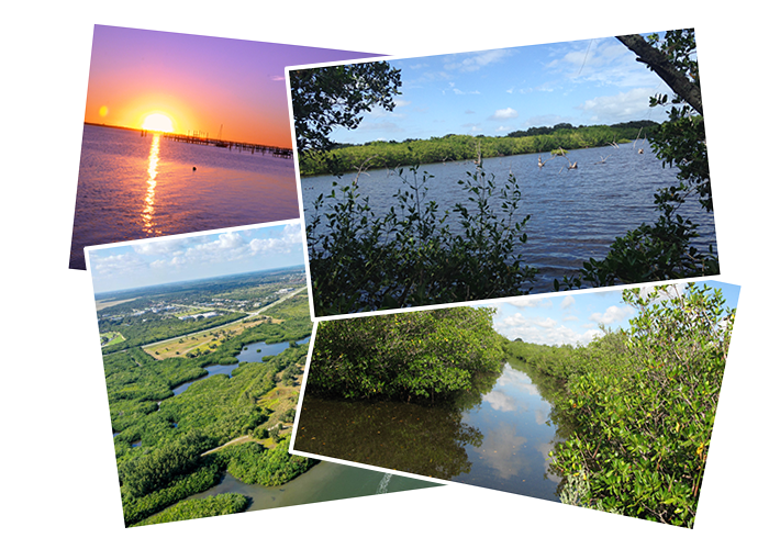 Protecting the Land that Protects the Lagoon