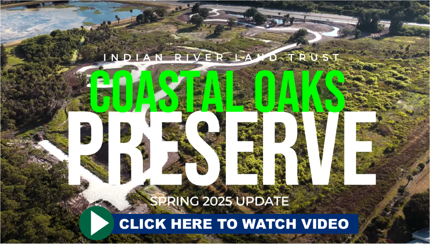 Construction Begins on Living Classroom at Coastal Oaks Preserve