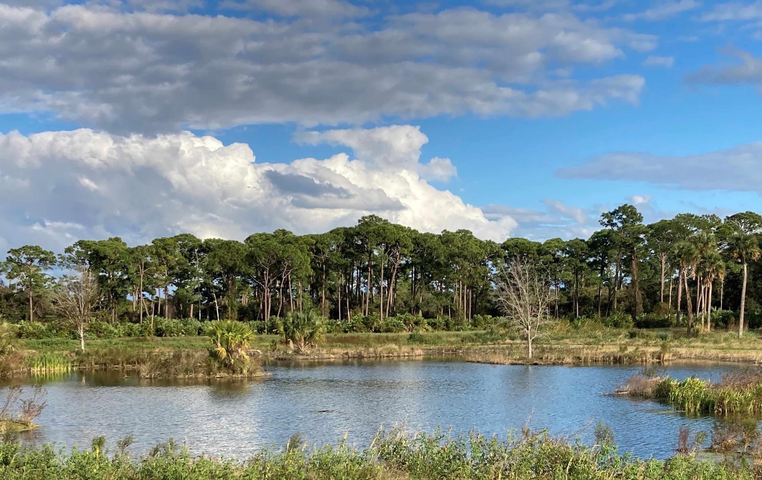 Coastal Oaks Preserve