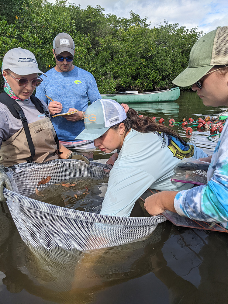 IRLT Fish Study Coastal Oaks