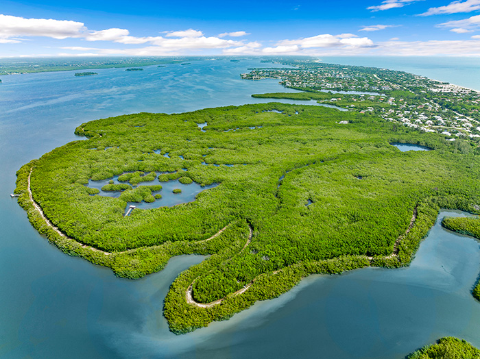 Oyster Bar Marsh