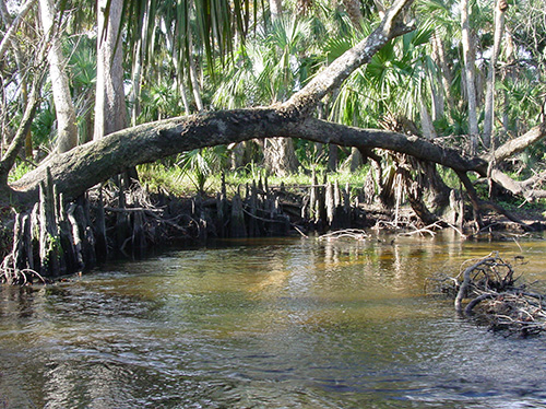 St. Sebastian River Properties
