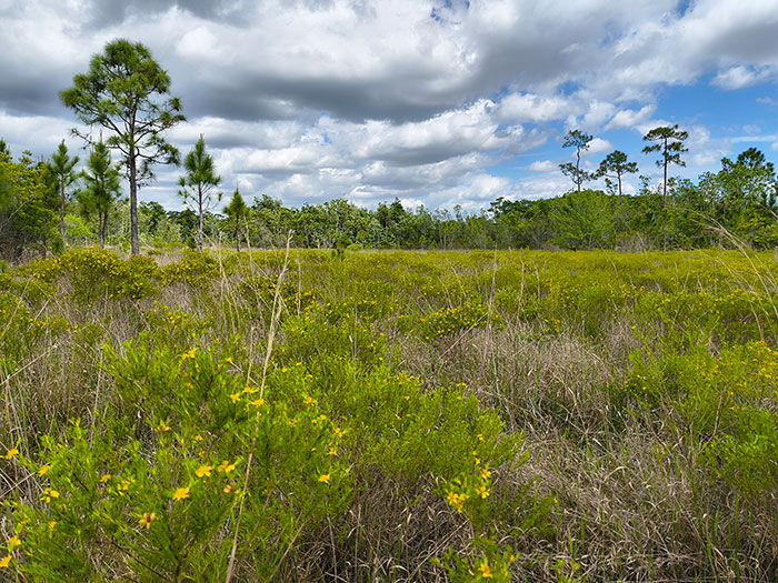 Western Lands Protect Our Water and Wildlife