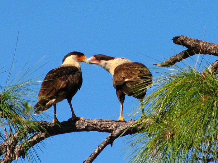 Western Lands Protect Our Water and Wildlife