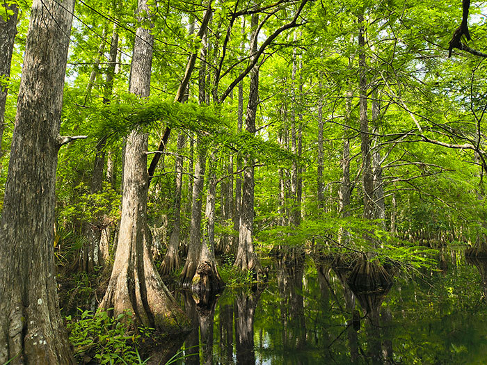 Western Lands Protect Our Water and Wildlife